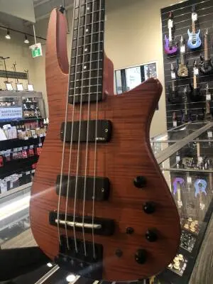 NS Steinberger Radius Bass V 2